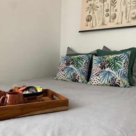 Le Petit Bali - Studio - Wifi - Parking - Coeur De Ville Pont-lʼAbbé المظهر الخارجي الصورة
